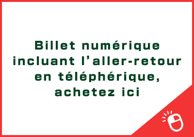 Billet numérique incluant l’aller-retour en téléphérique, achetez ici