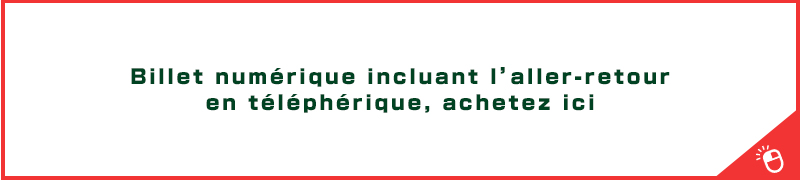 Billet numérique incluant l’aller-retour en téléphérique, achetez ici